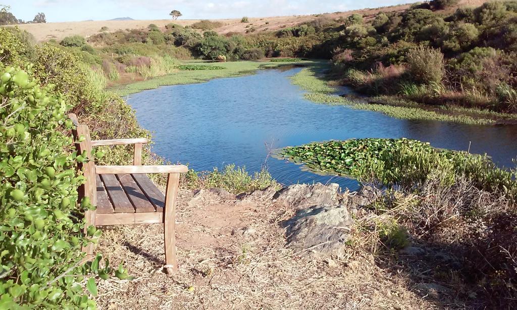 Herdade Do Pessegueiro Porto Covo Exteriér fotografie