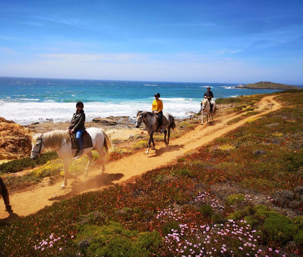 Herdade Do Pessegueiro Porto Covo Exteriér fotografie